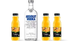 Vodka Absolut juice set