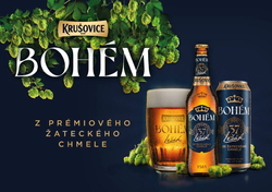 Krušovice 11,5 BOHÉM 4,7,% 0,5 l (plech)